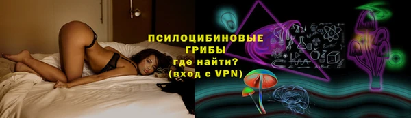 ГАЛЛЮЦИНОГЕННЫЕ ГРИБЫ Армянск