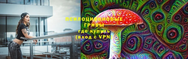 ГАЛЛЮЦИНОГЕННЫЕ ГРИБЫ Армянск